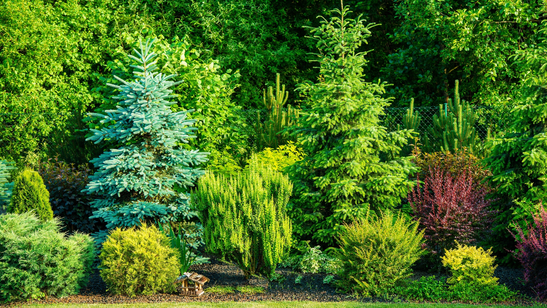 urban garden trees