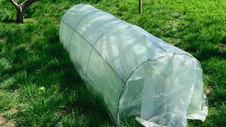 diy greenhouse