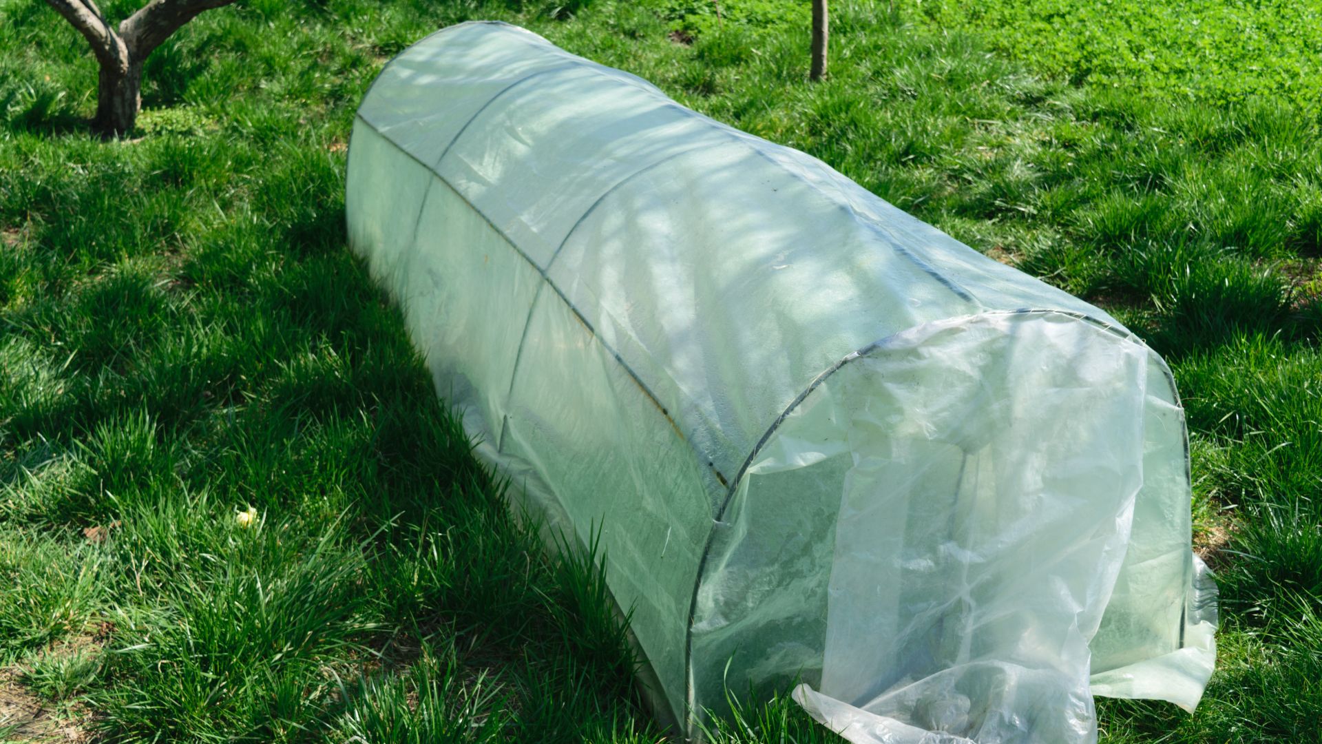 15 Budget-Friendly DIY Greenhouse Alternatives You Should Try Before Building One
