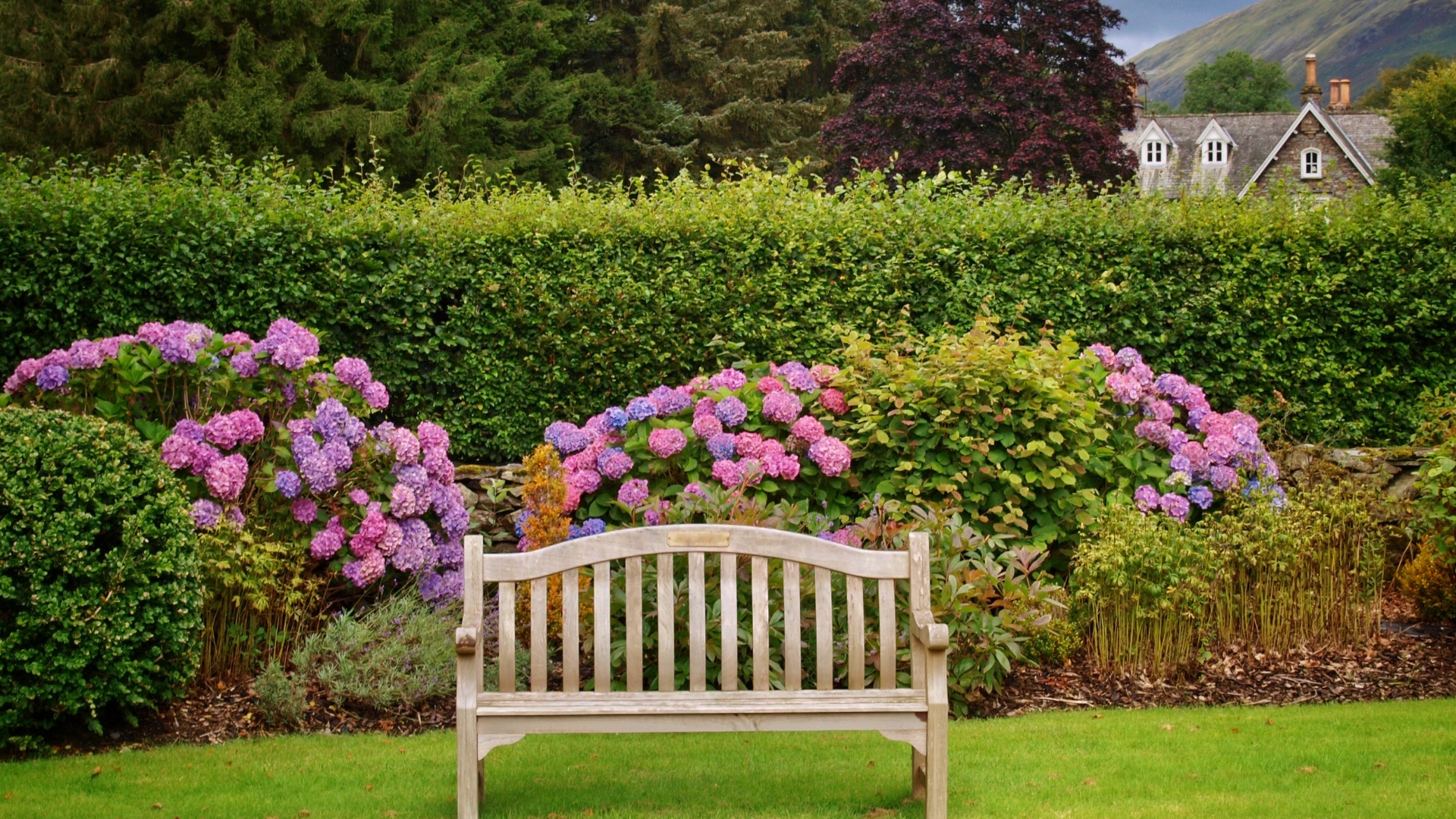 garden