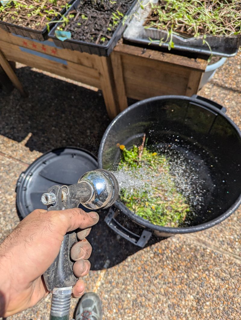 Compost Tea Brewing