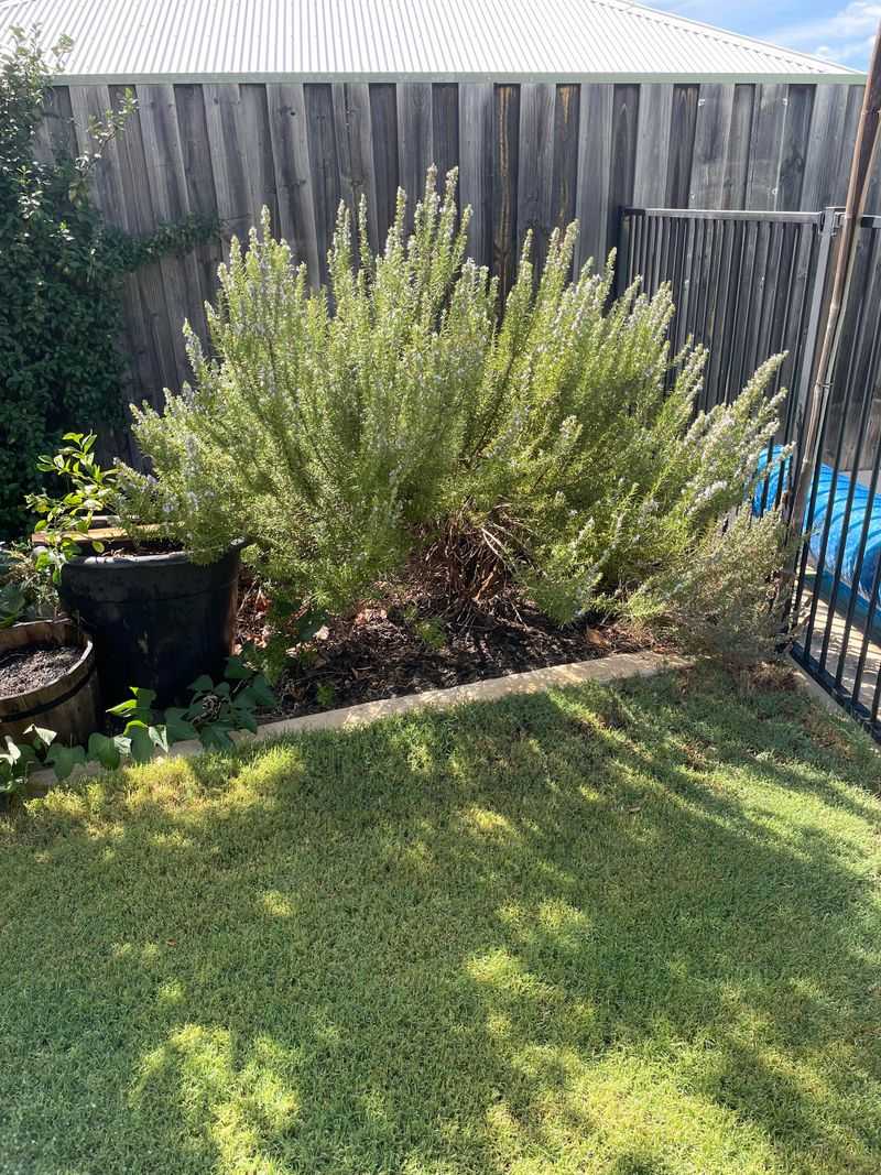 Know When to Prune