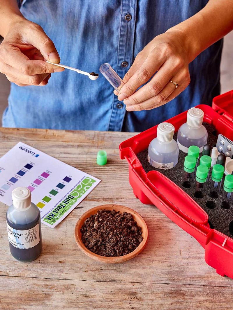 Check Your Soil PH