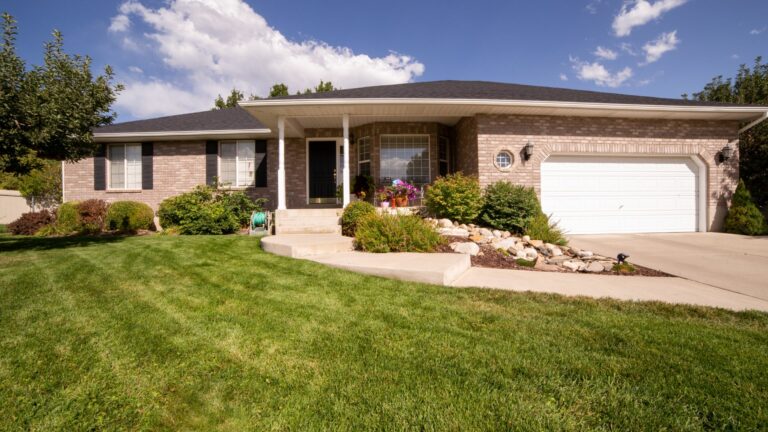 Green Grass Lawn yard