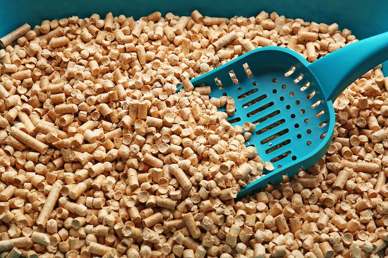 Cat Litter (Clay-Based)