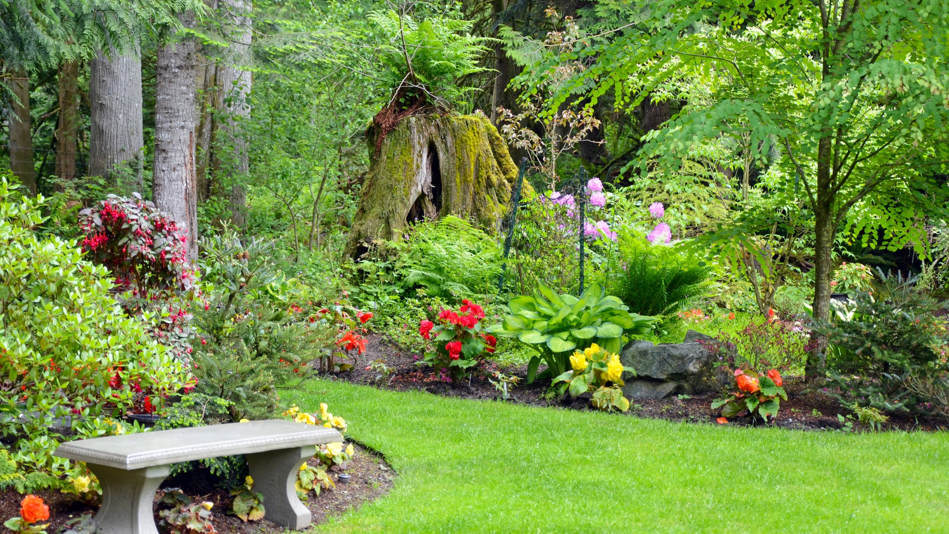 garden