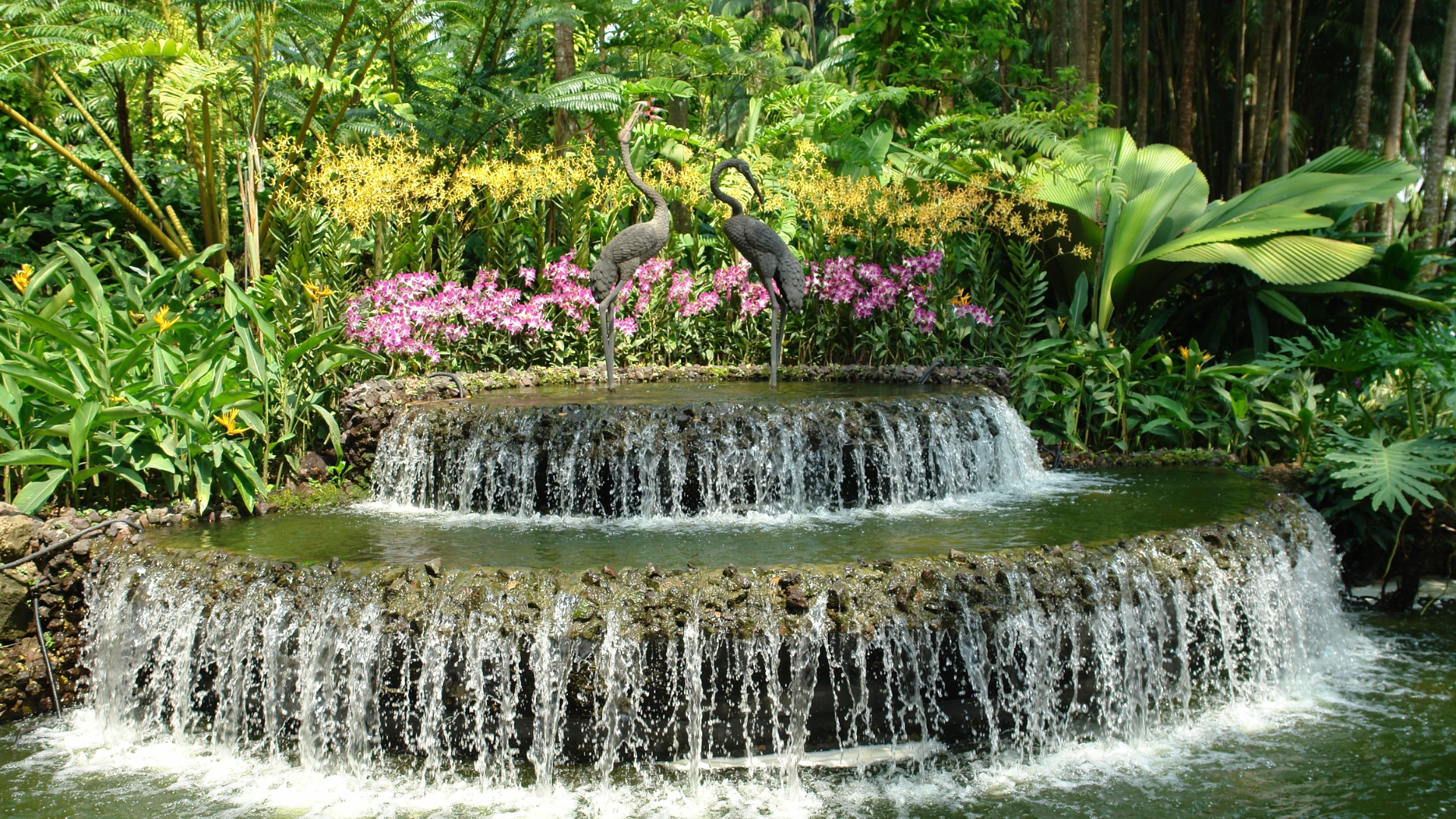 15 Landscaping Ideas That Don’t Fit Most House Styles (Especially Small Yards)