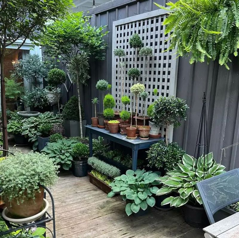 Create Zones With Container Gardens