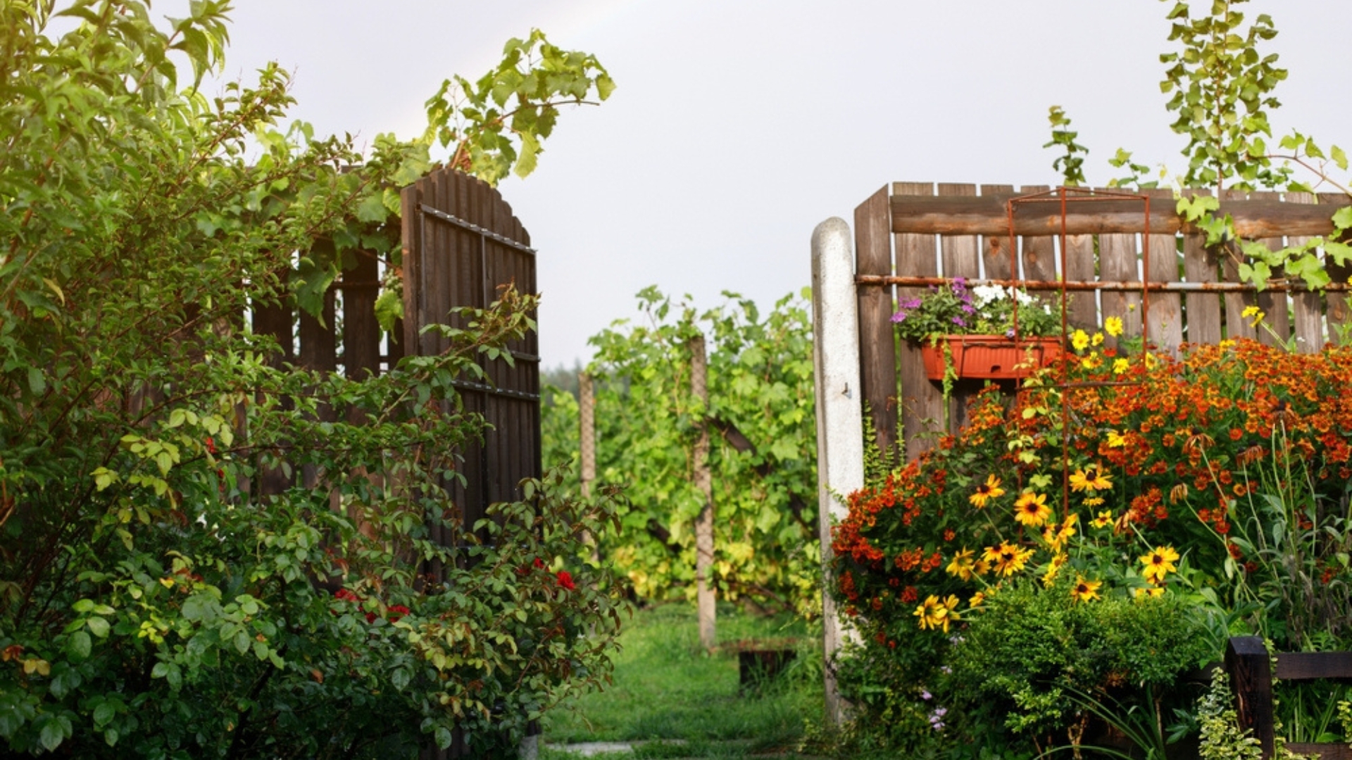 15 Nostalgic Gardening Ideas You’ll Love (And A Few More For Even More Old-Fashioned Charm)