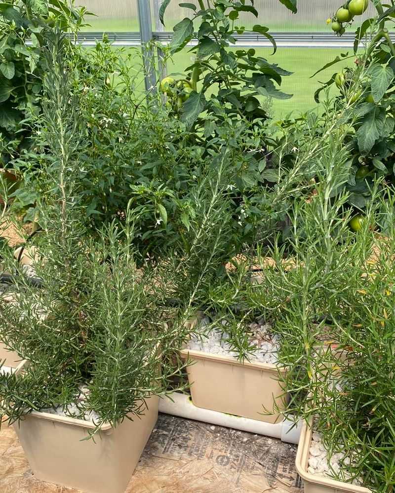 Seed Selection Matters