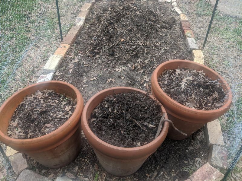 Add Homemade Compost Regularly