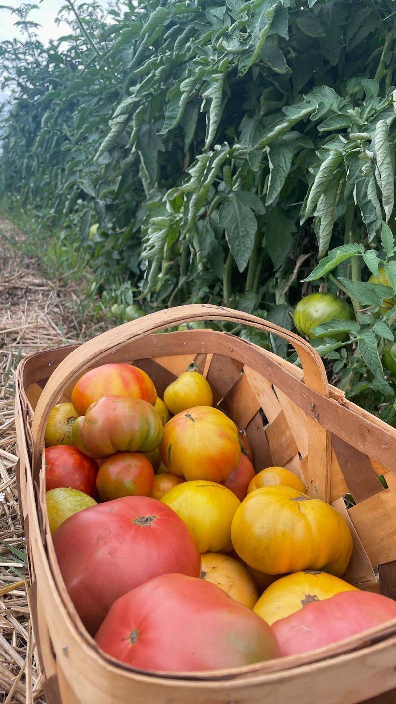 Choose the Right Varieties for Your Climate