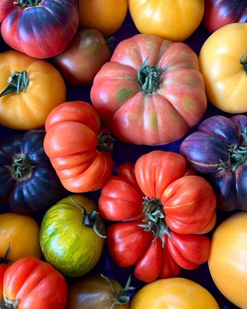 Picking Varieties Based on Looks Alone