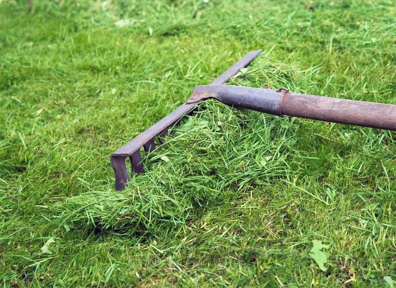 Free Fertilizer For Your Lawn