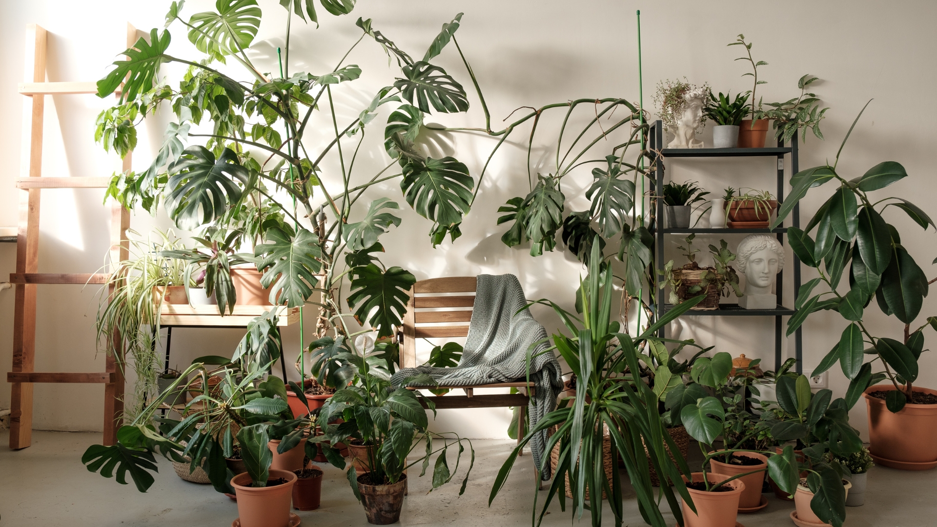 16 Creative Ways Spices Can Work Wonders For Your Houseplants