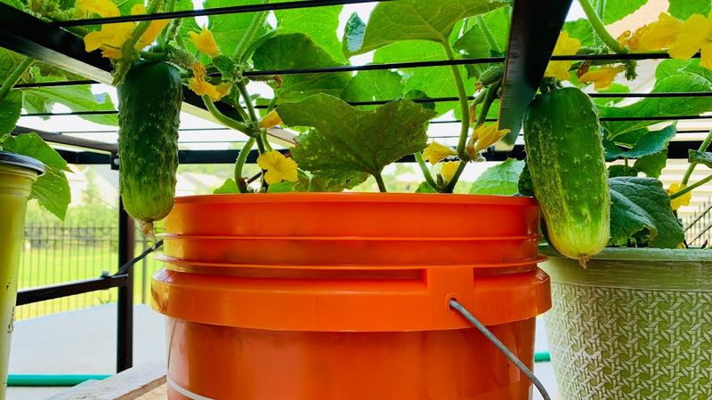 Choose the Right Container Size