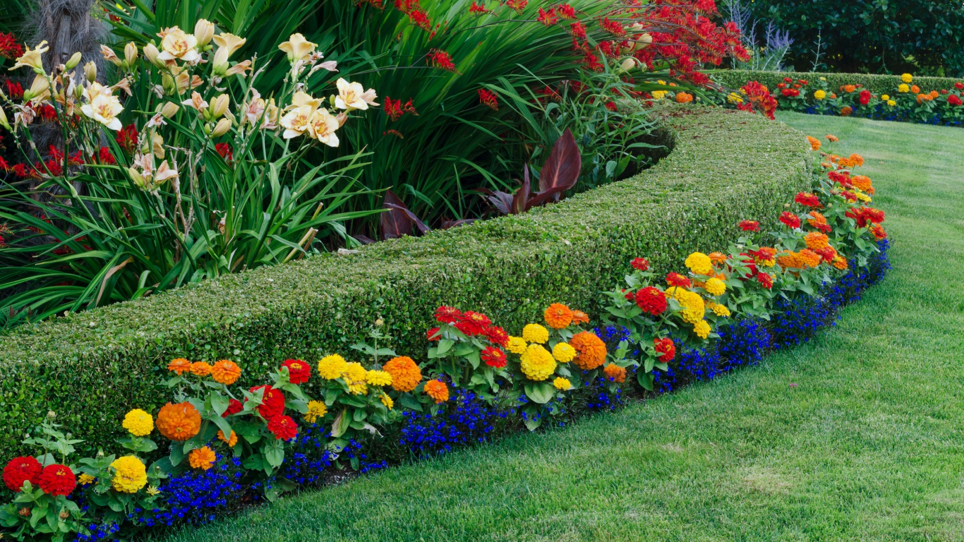 flowerd bed in yard
