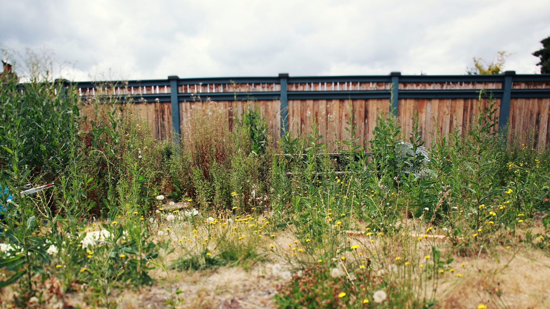 16 Landscaping Tricks That Make Your House Look Cheap