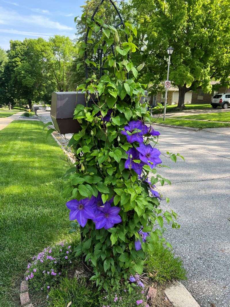 Check Your Watering Routine