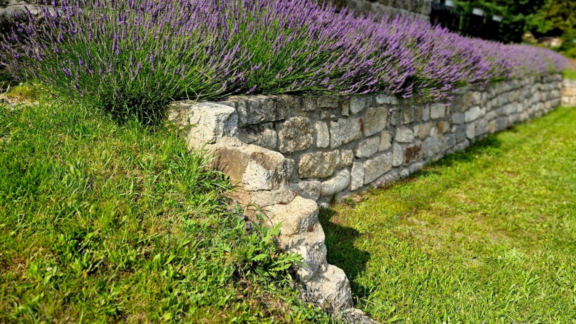 16 Sloped Backyard Mistakes That Waste Space (And What To Do Instead)