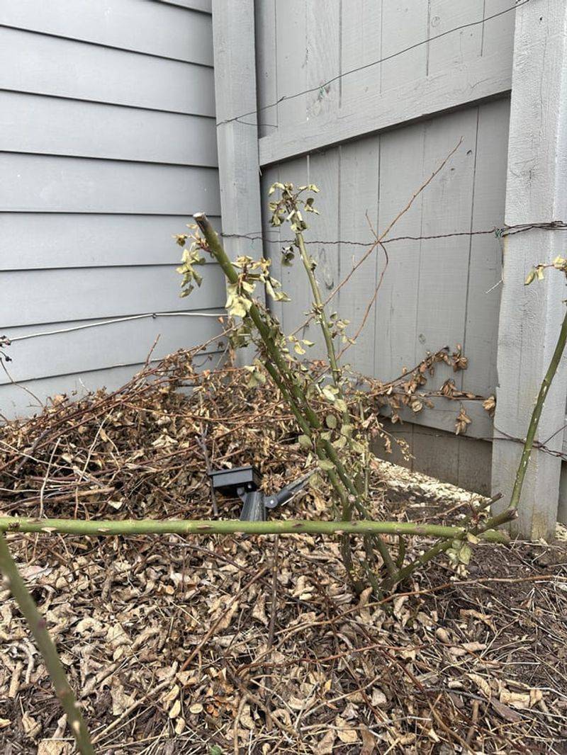 Prune Before You Pull