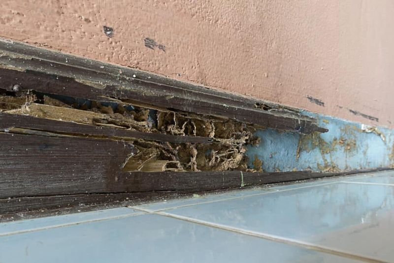 Untreated Wood Contact With Soil