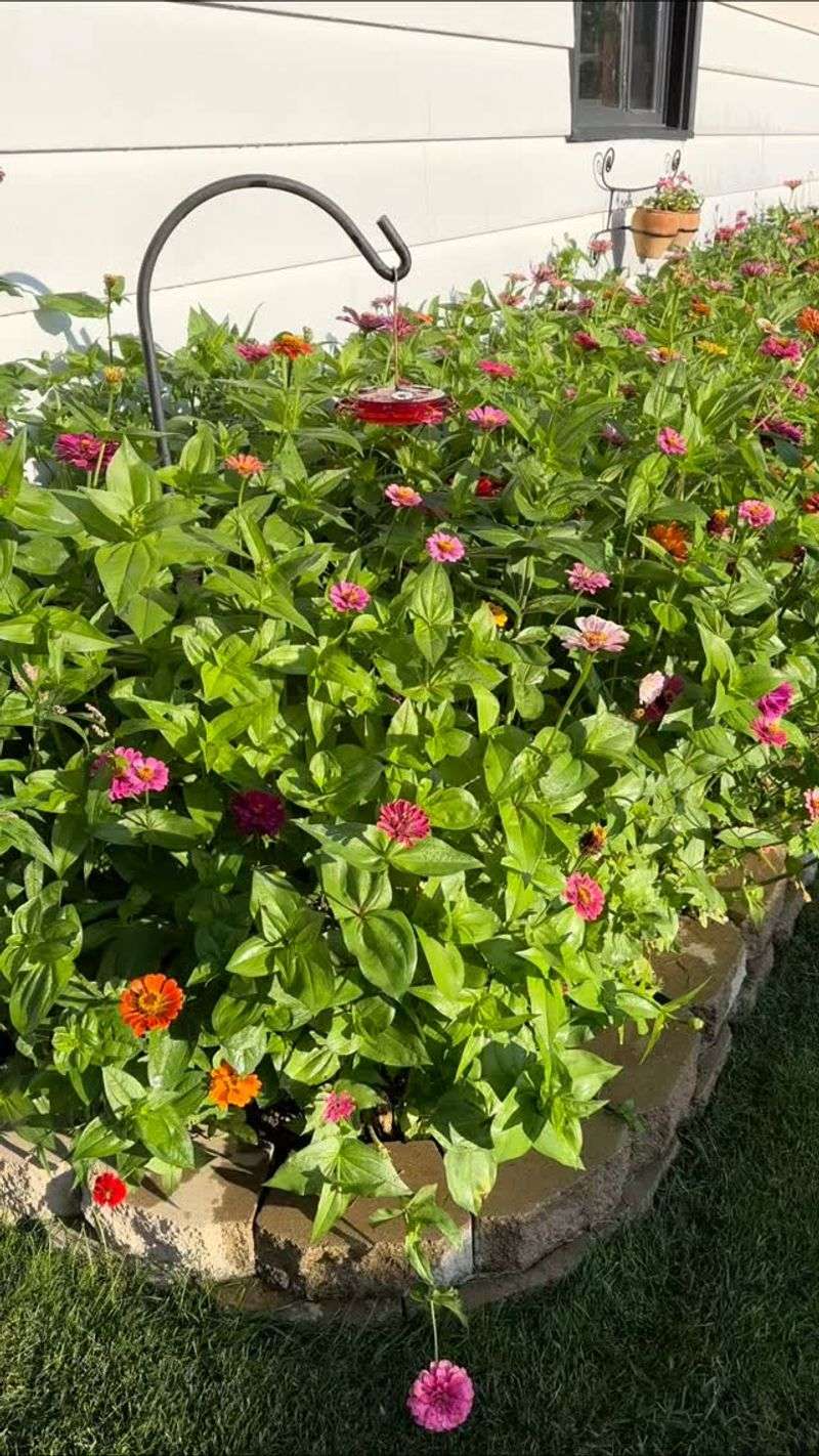 Well-Drained Soil
