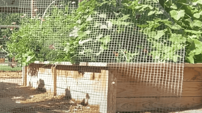 Fencing Solutions