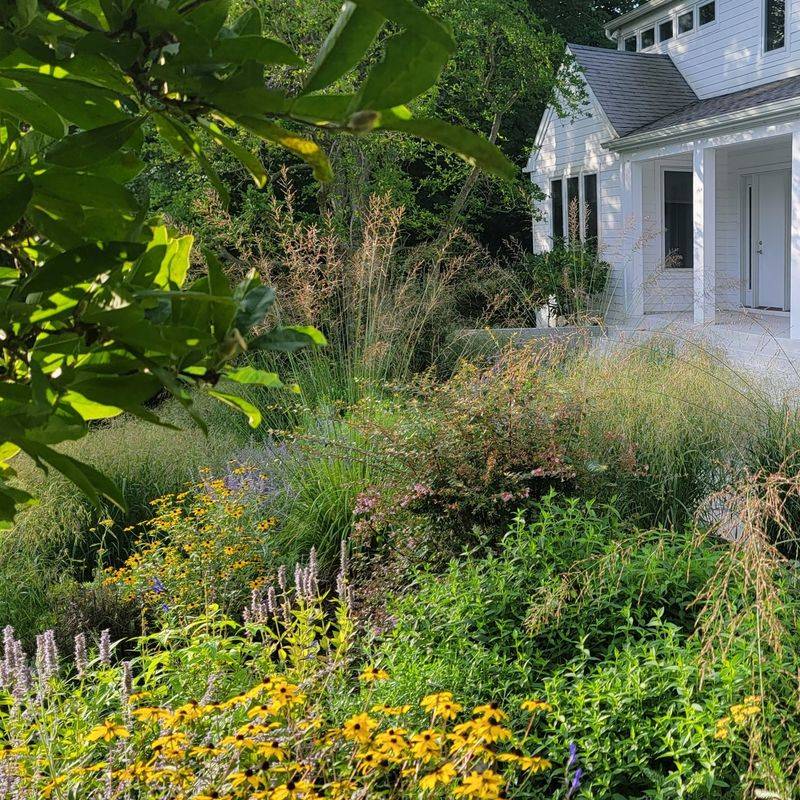 Planting Without a Plan