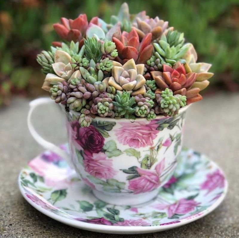 Teacup Gardens