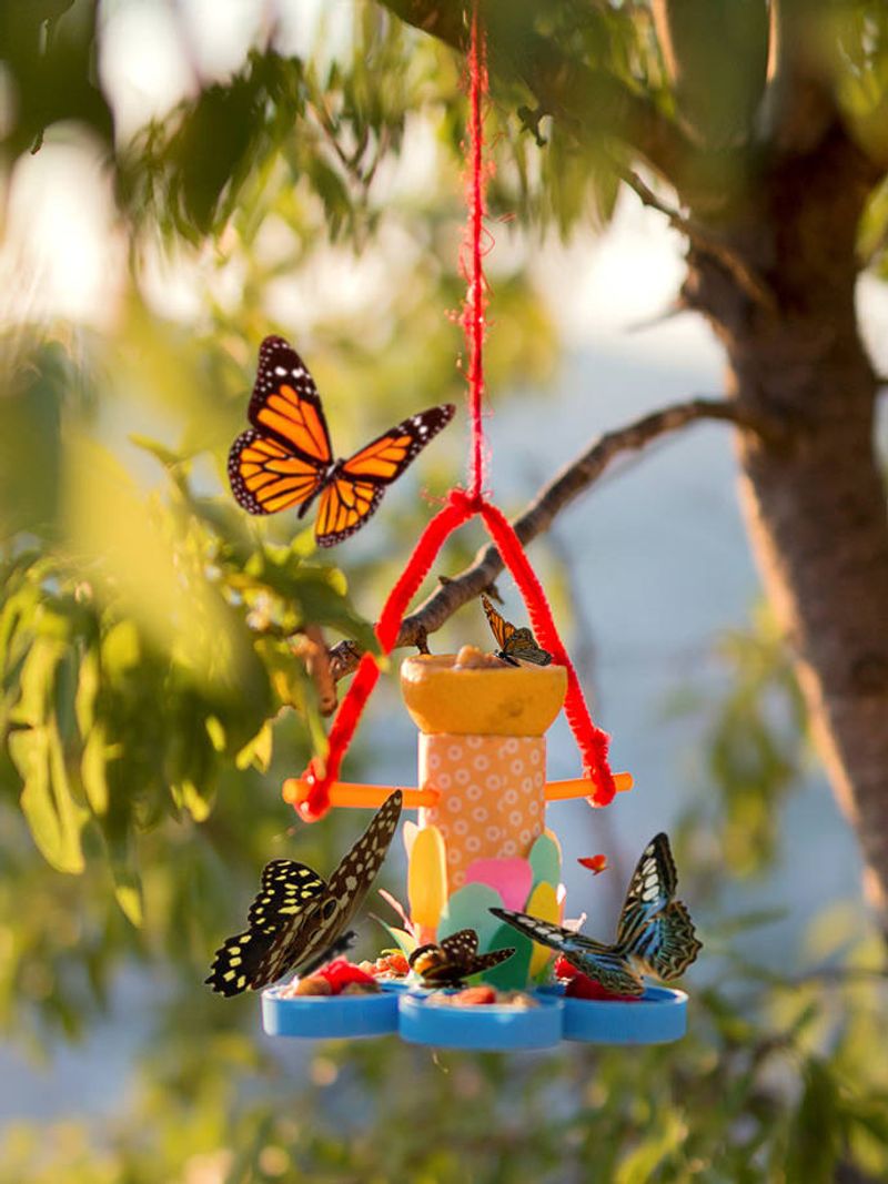 Plastic Bottles Become Butterfly Feeders