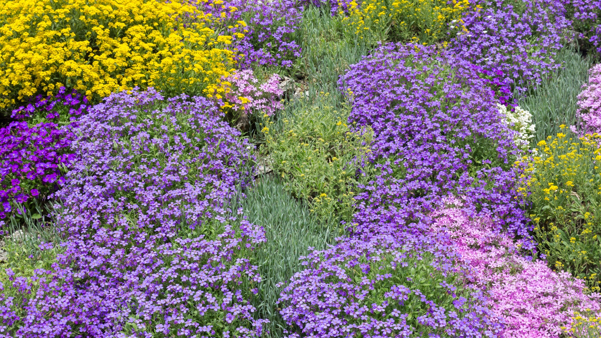 17 Lush Groundcovers That Turn Tree Shade Into A Garden Oasis — Plus A Few More To Complete The Look