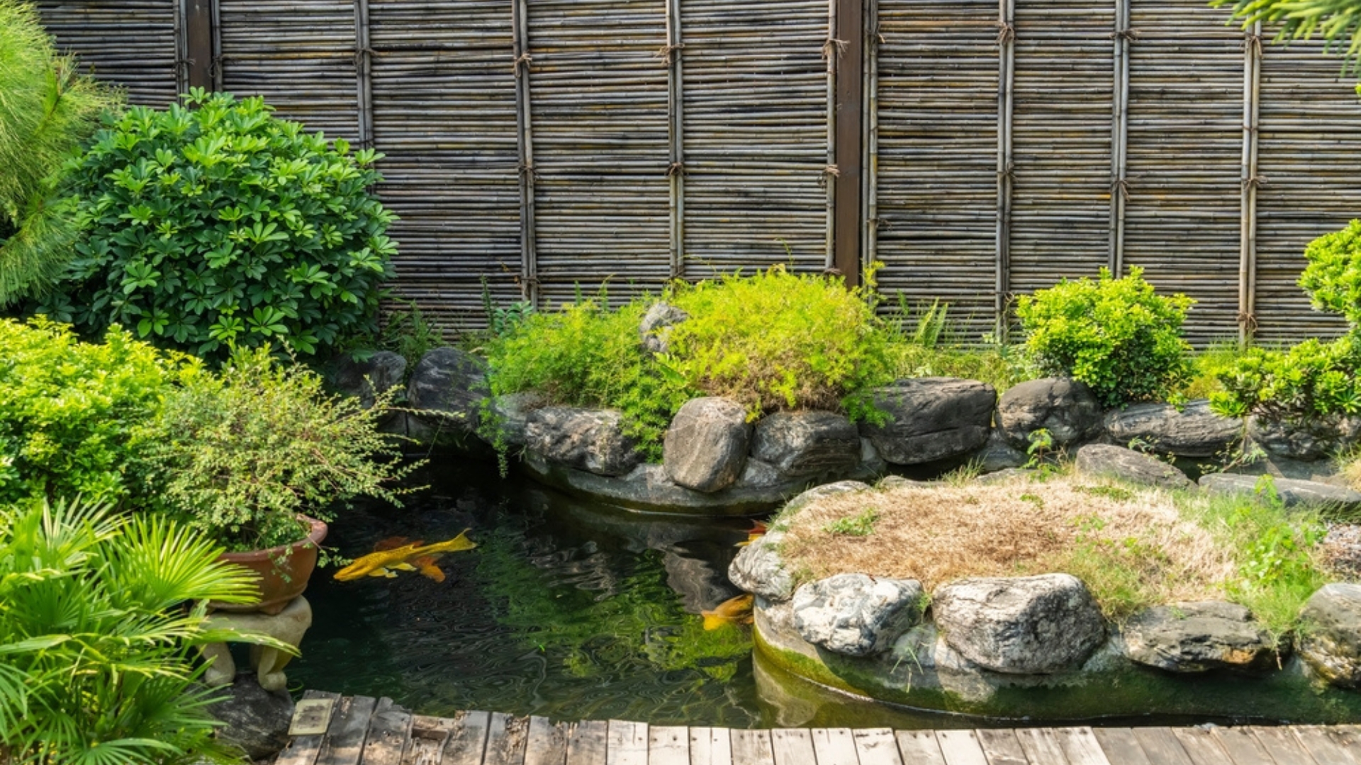 17 Overhyped Backyard Ideas That Cost Too Much And Do Too Little – Don’t Make These Expensive Mistakes