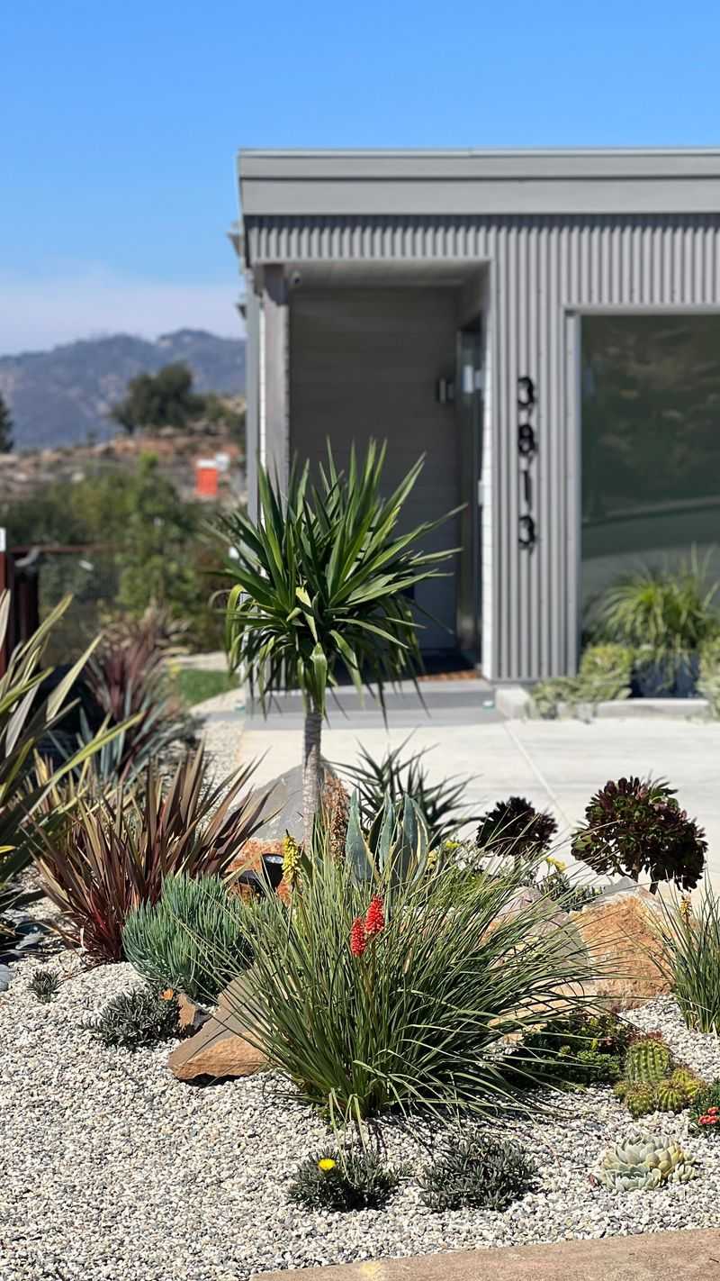 Rock Garden Wonderland