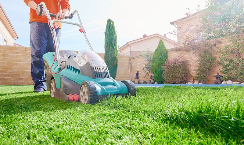 Maintain Proper Mowing Height