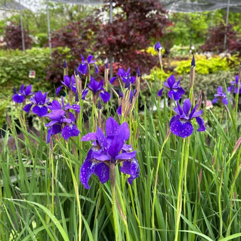 Choose The Right Planting Location
