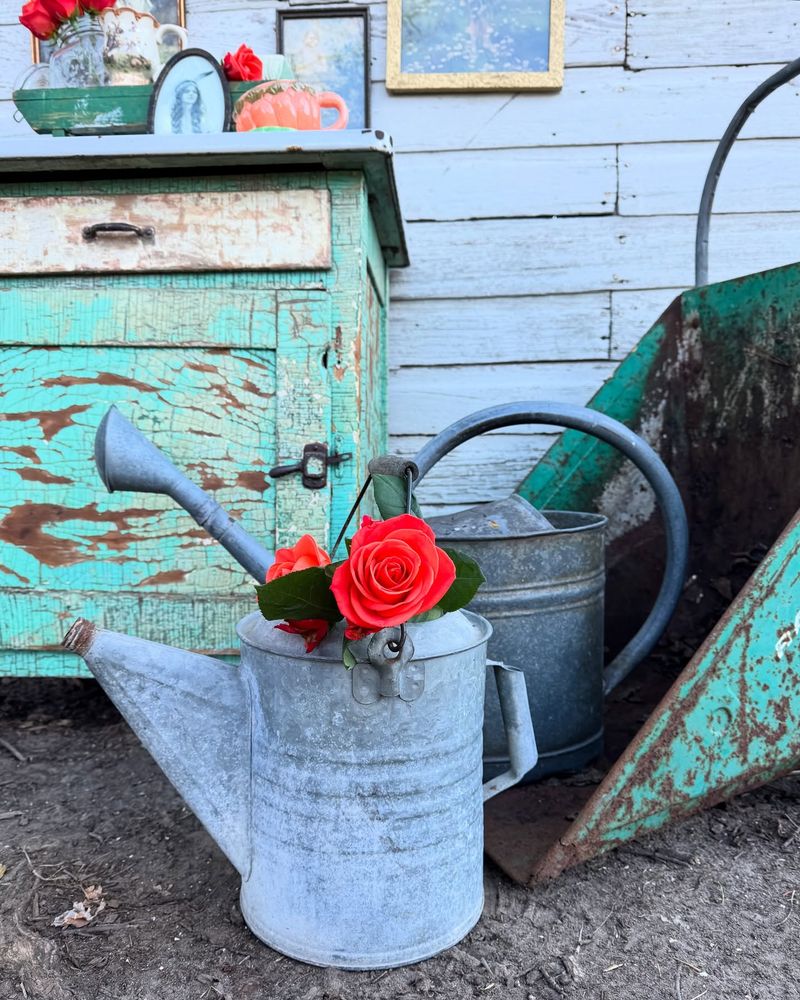 Vintage Watering Cans