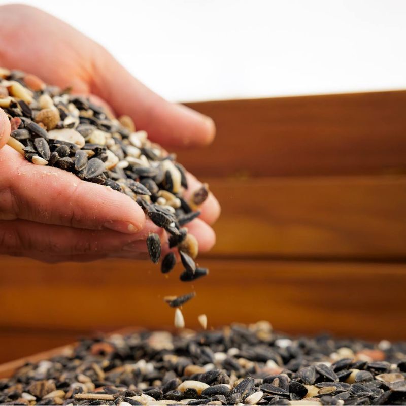 Offer Various Seed Types