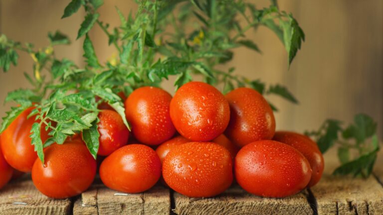 roma tomatoes