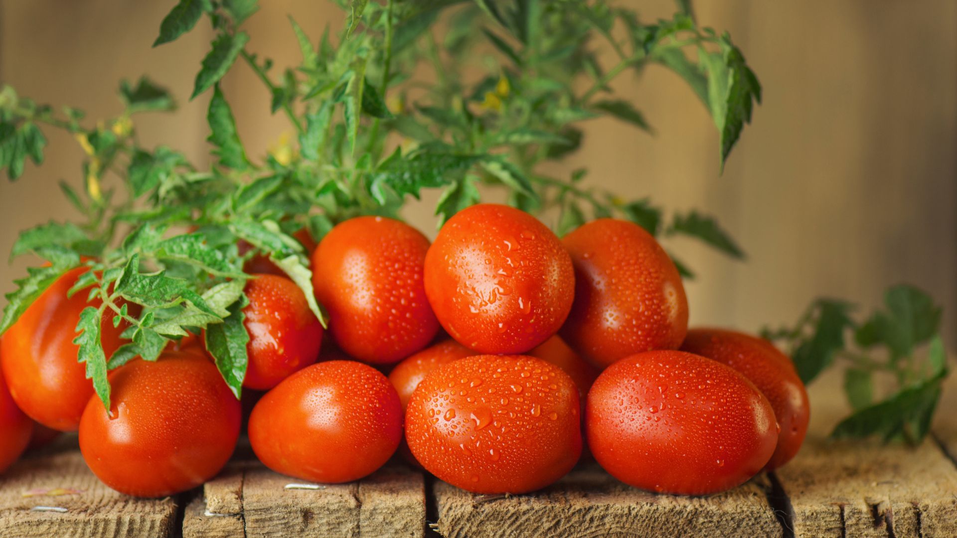 18 Tomato Varieties That Won’t Split And Still Deliver A Perfect Harvest