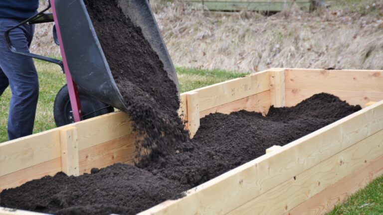 raised bed soil