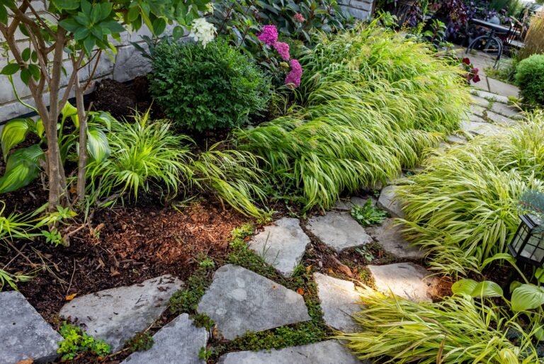 landscape with plants and stone