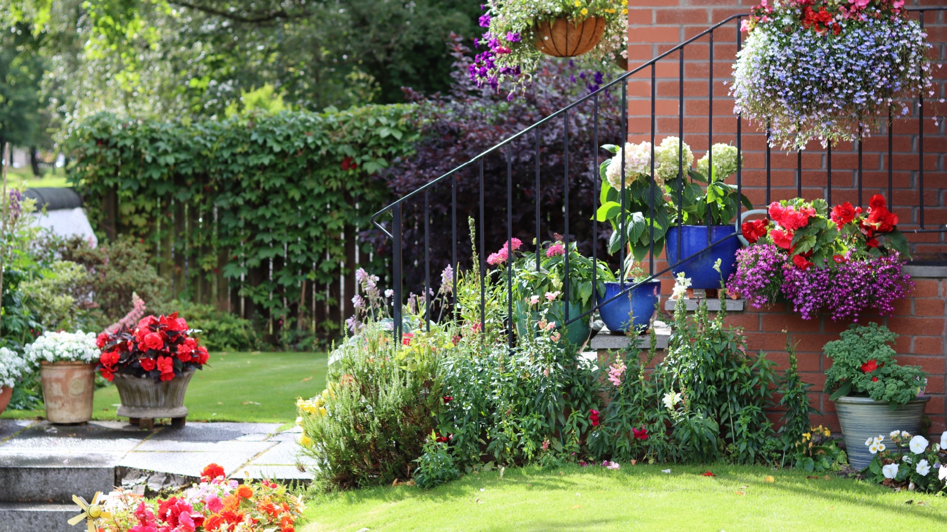 tiny yard