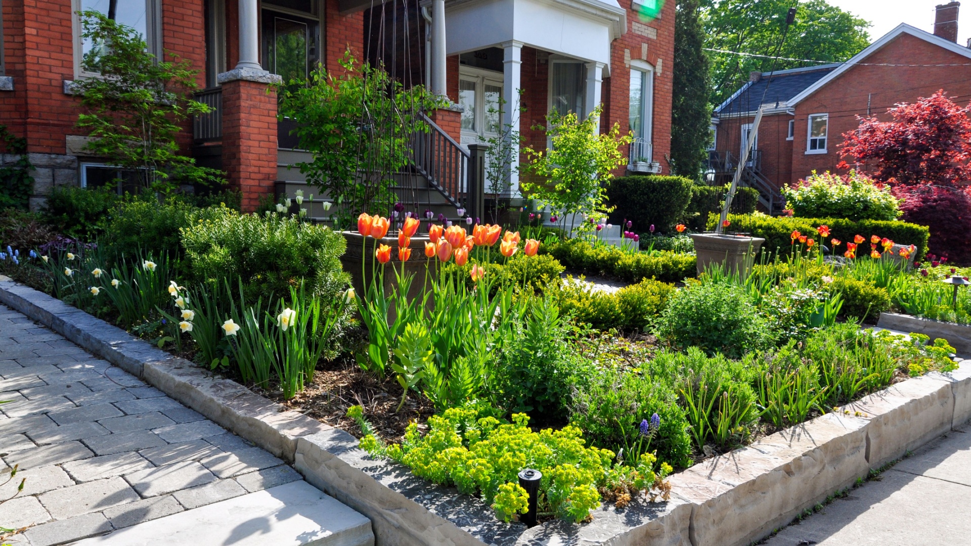 front yard landscaping without lawn or fence