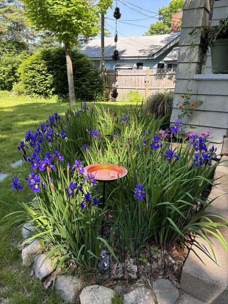 Pick The Perfect Planting Spot