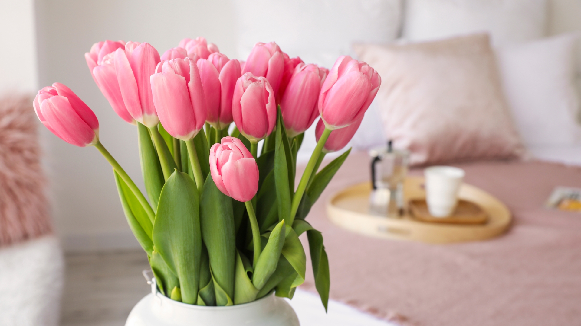 20 Essential Tulip Care Tips to Keep Your Blooms Vibrant and Long-Lasting