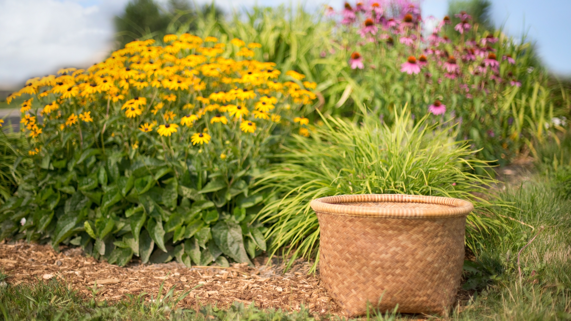 20 Tough Blooms That Flourish In Wild, Overgrown Gardens