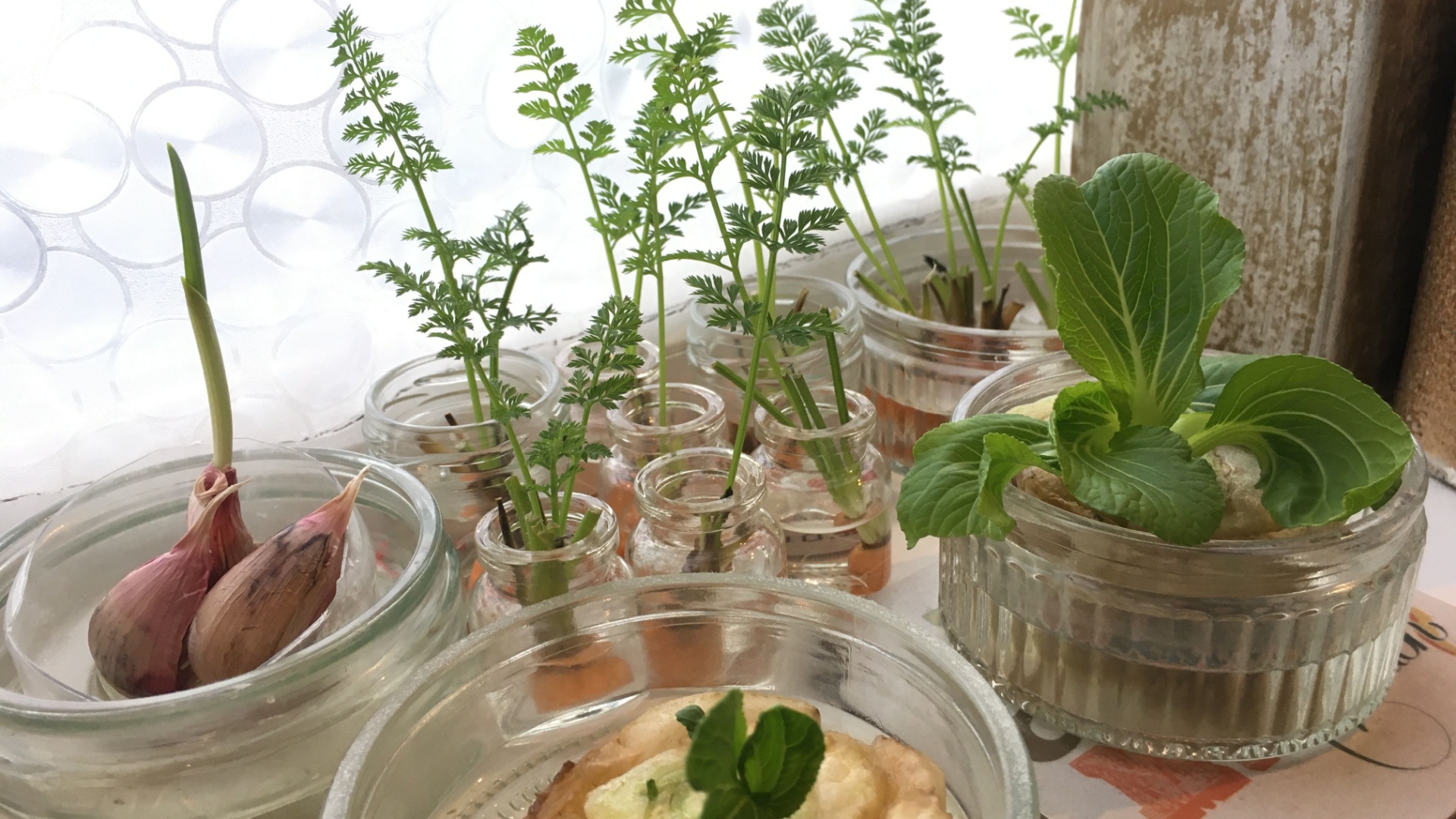 22 Vegetables That Keep Regrowing After You Harvest Them (Plus A Few More Perfect For Beginners)