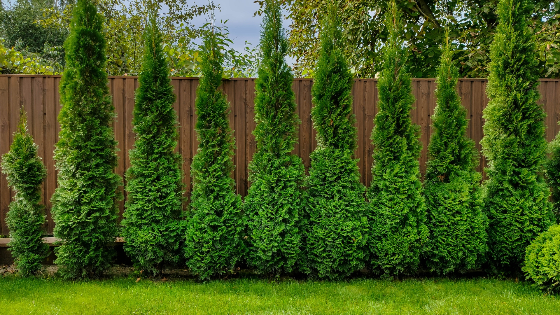 24 Inspiring Ideas To Turn Your Front Yard Into A Private Oasis (Plus Extra Tips For Total Privacy)
