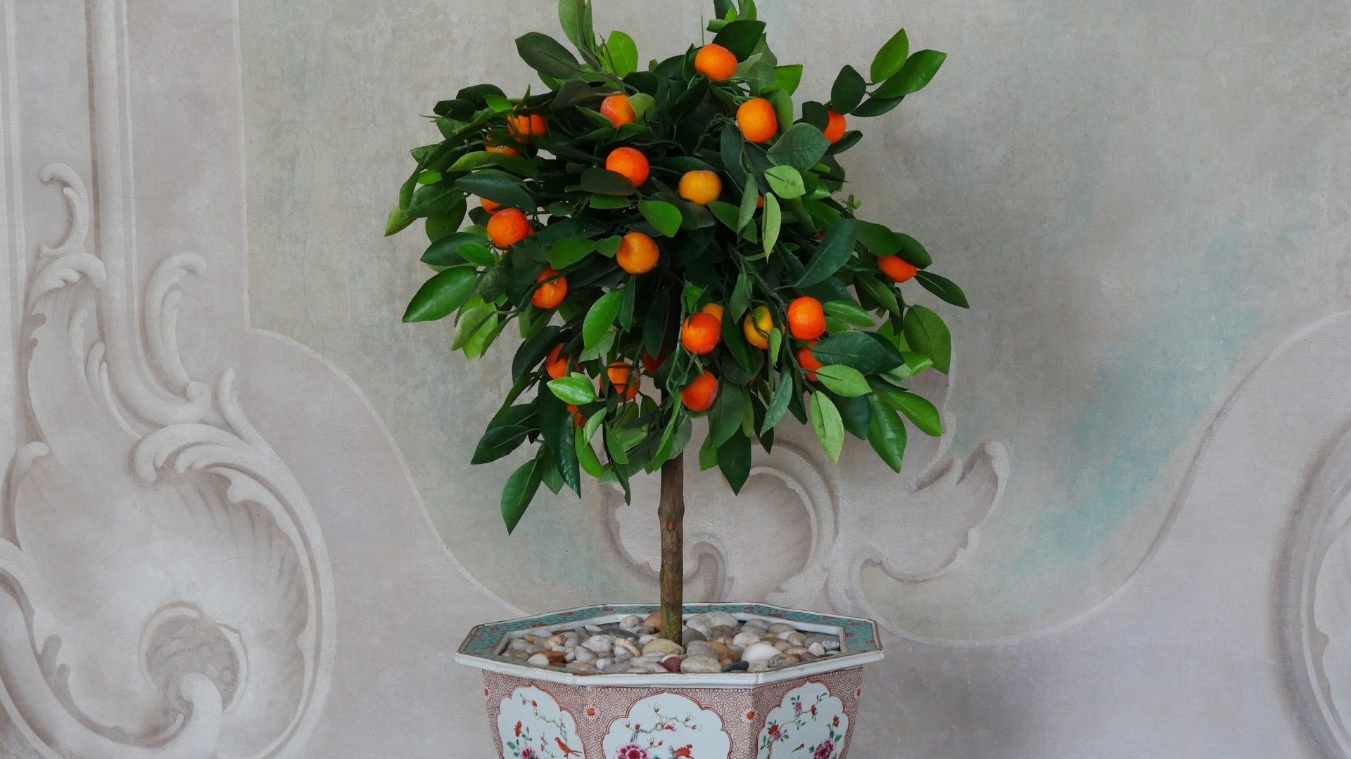 fruit tree